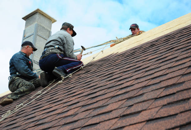 Best Metal Roofing Contractor  in Nellysford, VA