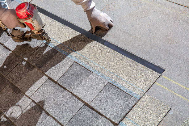 Best Roof Repair Services  in Nellysford, VA