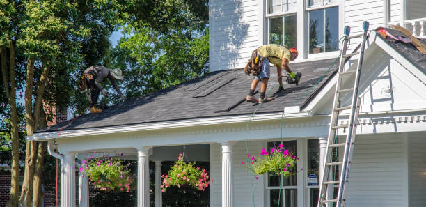 Best Roof Restoration Services  in Nellysford, VA