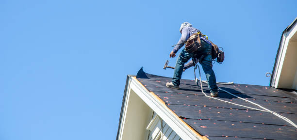 Best Roofing Contractor Near Me  in Nellysford, VA